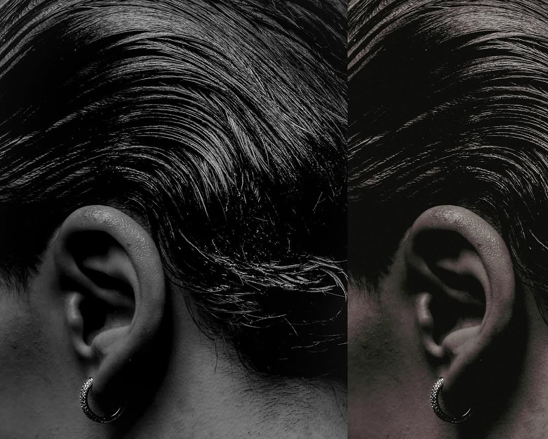 Mlžná krajina s borovicemi