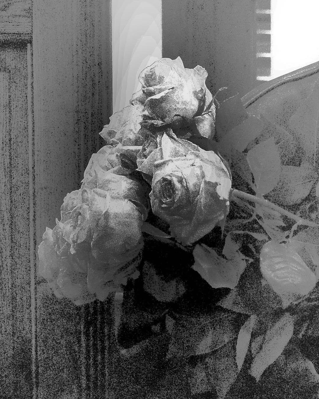 Mořská vlna u pláže